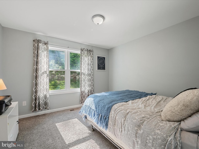 433 Tulip Poplar Dr, Linden, VA 22642 - bedroom with carpet and baseboards