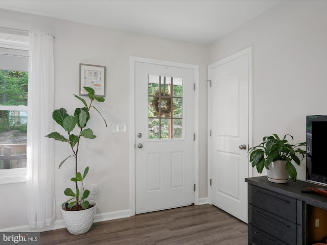 433 Tulip Poplar Dr, Linden, VA 22642 - doorway to outside with dark wood finished floors and baseboards