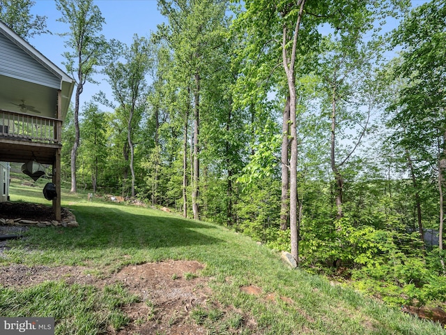 433 Tulip Poplar Dr, Linden, VA 22642 - view of green lawn featuring a ceiling fan
