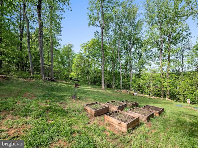 433 Tulip Poplar Dr, Linden, VA 22642 - view of grassy yard with a garden