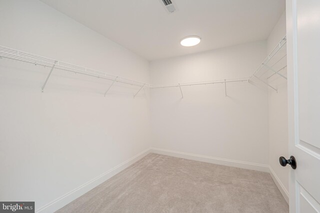 walk in closet featuring carpet floors