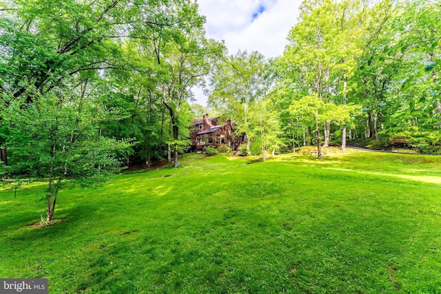 view of grassy yard