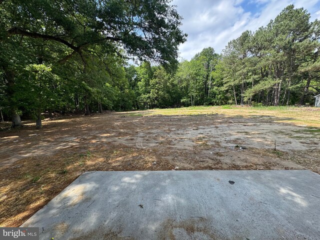 581 Milford Neck Rd, Milford, DE 19963 - view of yard with a view of trees