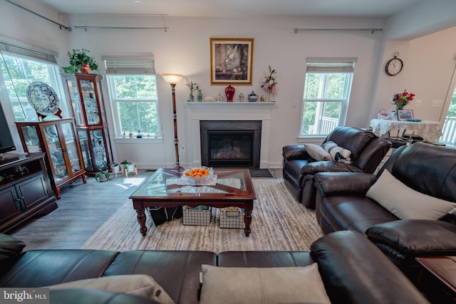 8212 Hickory Hollow Dr, Glen Burnie, MD 21060 - living room with wood finished floors, a fireplace with flush hearth, and baseboards