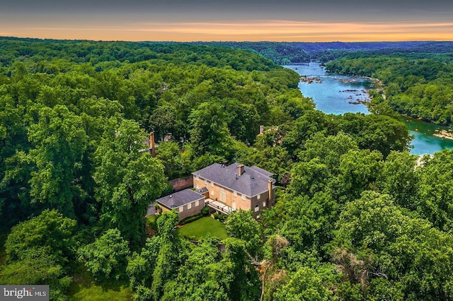 drone / aerial view of a large body of water and a forest