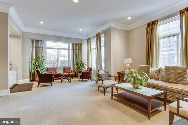 851 N Glebe Rd Unit 406, Arlington, VA 22203 - living area with crown molding, carpet floors, baseboards, and recessed lighting