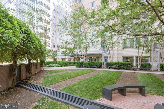 851 N Glebe Rd Unit 406, Arlington, VA 22203 - view of property's community featuring a yard
