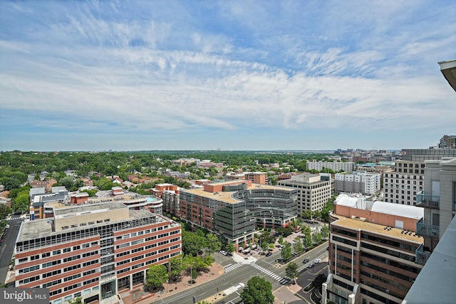 851 N Glebe Rd Unit 406, Arlington, VA 22203 - view of city