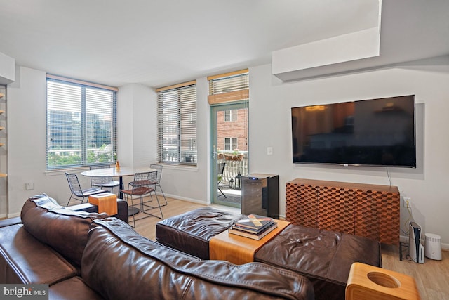 851 N Glebe Rd Unit 406, Arlington, VA 22203 - living area with light wood-style flooring and baseboards