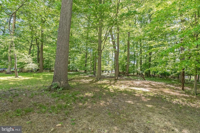 800 Little Shiloh Rd, West Chester, PA 19382 - view of yard