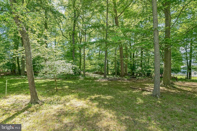 800 Little Shiloh Rd, West Chester, PA 19382 - view of grassy yard