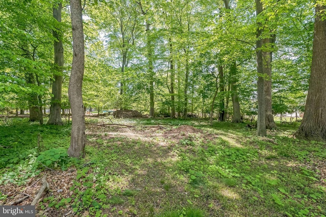 800 Little Shiloh Rd, West Chester, PA 19382 - view of nature