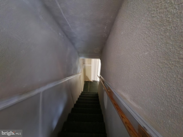 1351 Cambria St, Baltimore, MD 21225 - staircase with a textured wall and carpet
