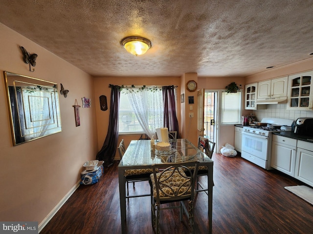1351 Cambria St, Baltimore, MD 21225 - dining space with dark wood-style floors, baseboards, and a textured ceiling