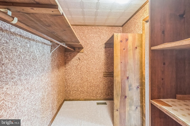 21821 Cove Ln, Leonardtown, MD 20650 - view of spacious closet