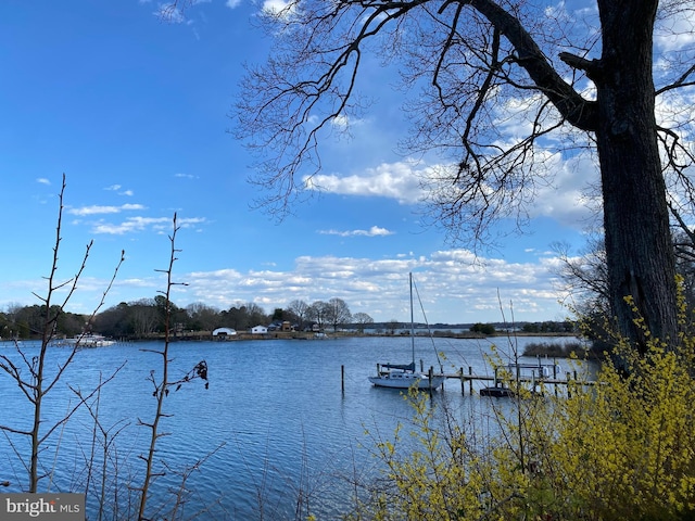 21821 Cove Ln, Leonardtown, MD 20650 - water view