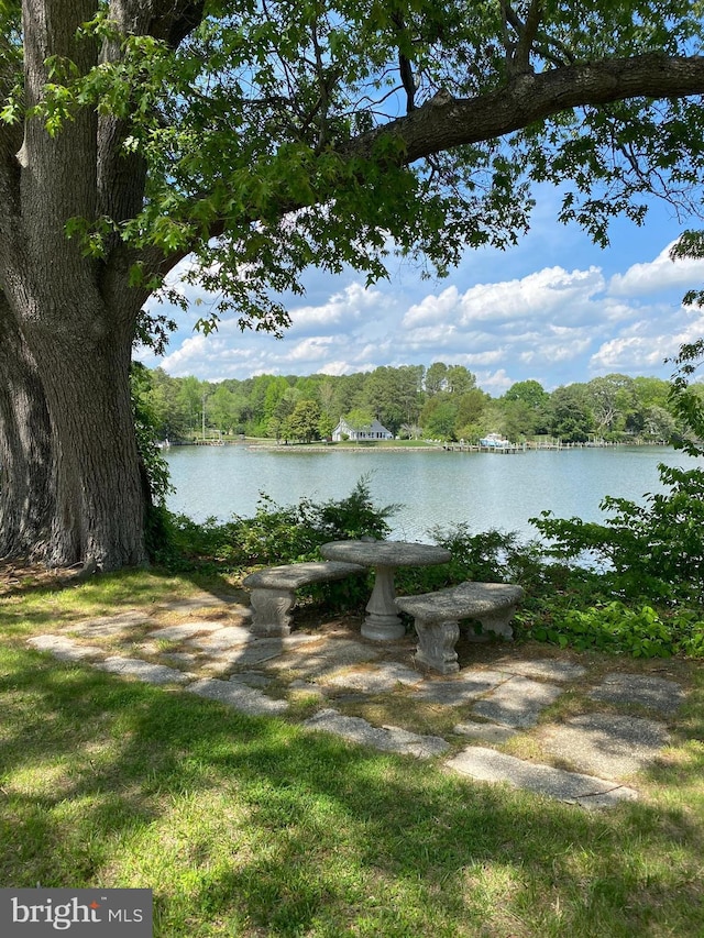21821 Cove Ln, Leonardtown, MD 20650 - water view featuring a heavily wooded area