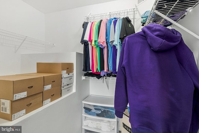 view of spacious closet