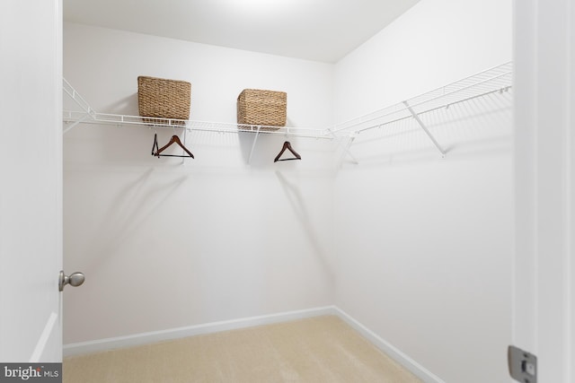 HOMESITE96 Pheasant Ridge Rd, Hanover, PA 17331 - spacious closet with carpet floors
