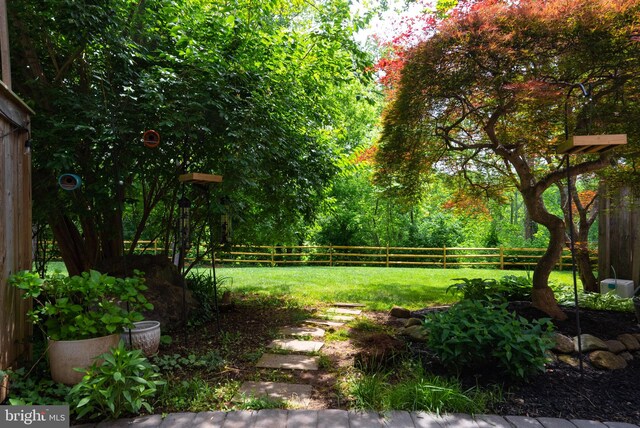 view of yard