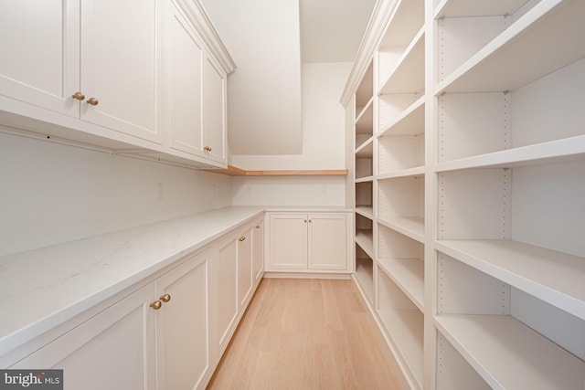 1339 Carolannes Way Unit Nl, West Chester, PA 19382 - view of storage area