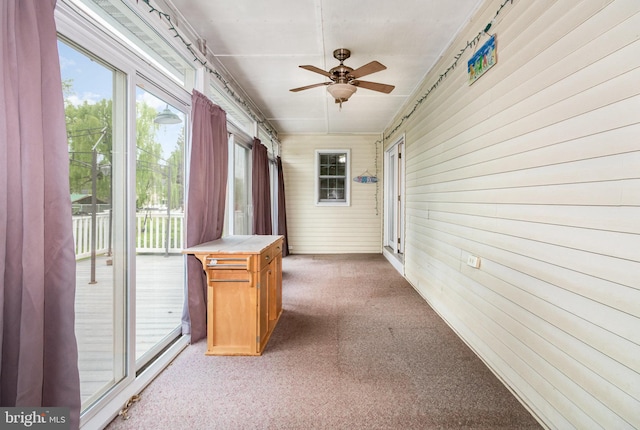 unfurnished sunroom with carpet flooring, ceiling fan, and wood walls