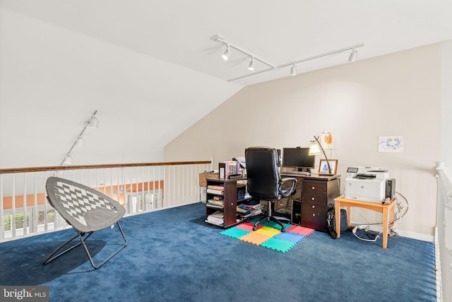 72 Leearden Rd, Hershey, PA 17033 - carpeted office featuring rail lighting and vaulted ceiling