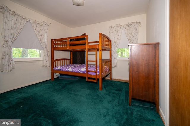 402 Old Courthouse Rd NE, Vienna, VA 22180 - bedroom with carpet floors and multiple windows