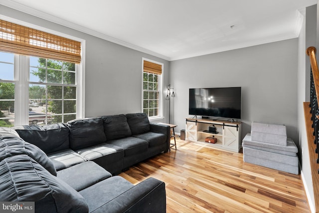 1338 Lowman St, Baltimore, MD 21230 - living area featuring wood finished floors and crown molding