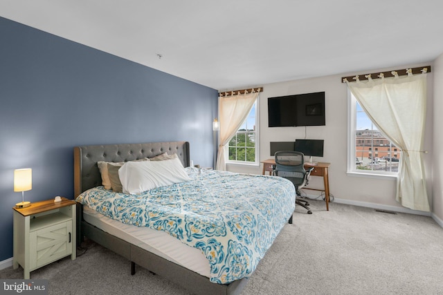 1338 Lowman St, Baltimore, MD 21230 - bedroom featuring carpet flooring and baseboards
