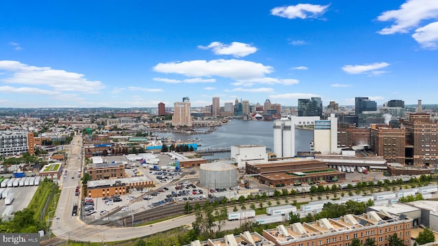 1338 Lowman St, Baltimore, MD 21230 - view of city skyline with a large body of water
