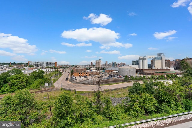 1338 Lowman St, Baltimore, MD 21230 - view of city