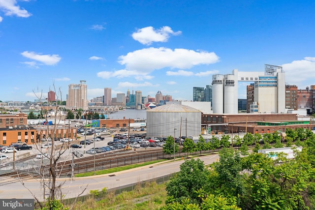1338 Lowman St, Baltimore, MD 21230 - skyline view