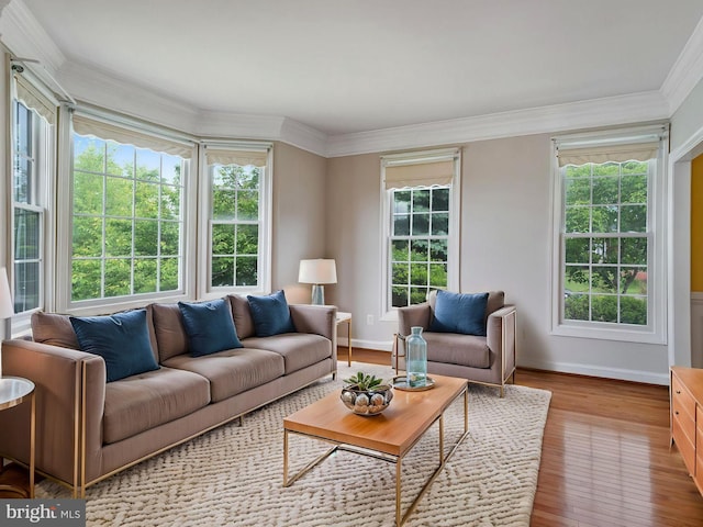 16028 Kings Mountain Rd, Woodbridge, VA 22191 - sunroom / solarium featuring plenty of natural light