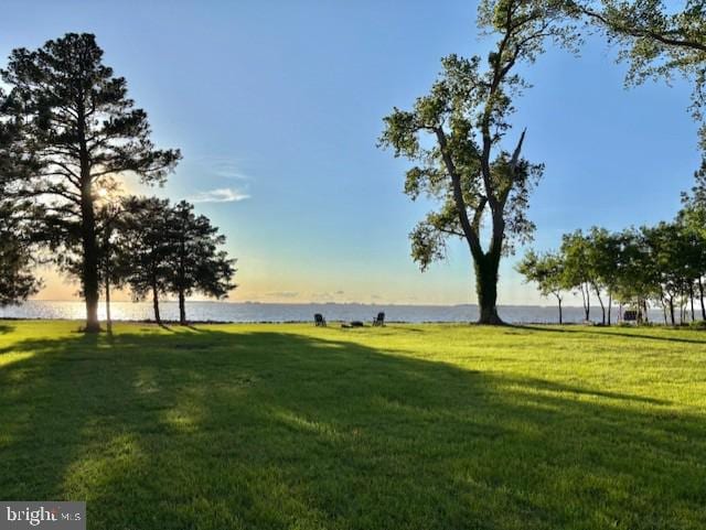 20456 Quarter Landing Ln, Nanticoke, MD 21840 - view of grassy yard with a water view