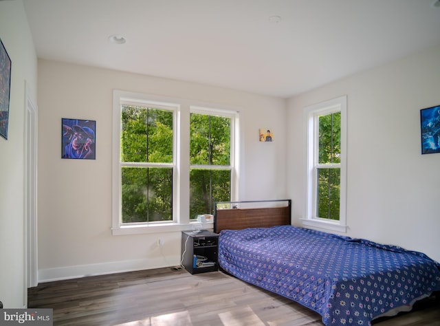 23883 Ebony Eyes Ct, Aldie, VA 20105 - bedroom with wood finished floors and baseboards