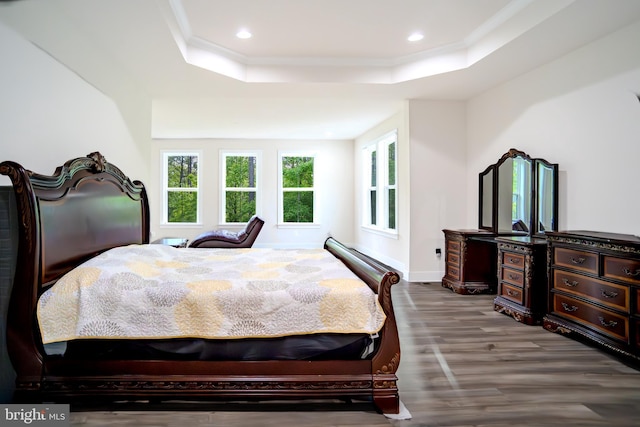 23883 Ebony Eyes Ct, Aldie, VA 20105 - bedroom featuring a tray ceiling, ornamental molding, wood finished floors, baseboards, and recessed lighting