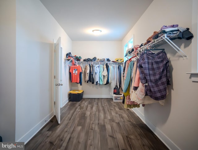 23883 Ebony Eyes Ct, Aldie, VA 20105 - walk in closet featuring wood finished floors
