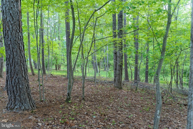 23883 Ebony Eyes Ct, Aldie, VA 20105 - view of woods