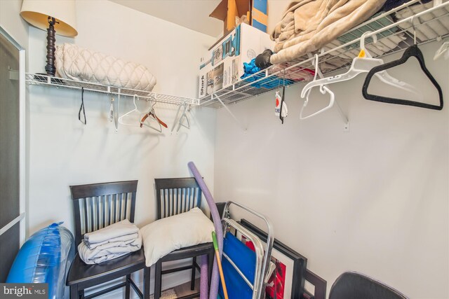 105 56th Unit 210P1, Ocean City, MD 21842 - view of walk in closet