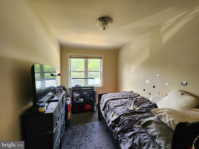 703 Beaverbrook Rd, Baltimore, MD 21212 - bedroom featuring dark colored carpet