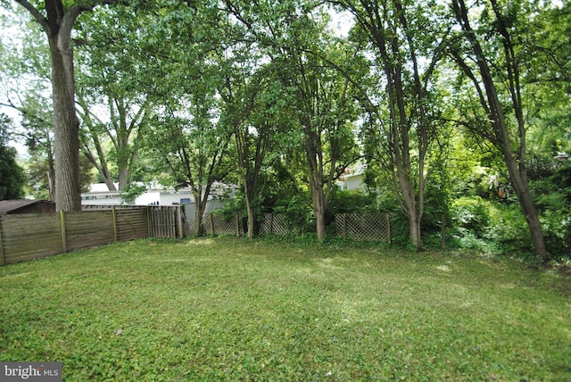 7807 Sycamore Dr, Falls Church, VA 22042 - view of yard