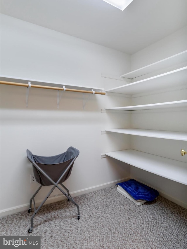 walk in closet with carpet