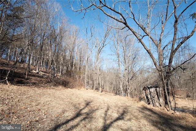 1025 Reihman Rd, Green Lane, PA 18054 - view of local wilderness