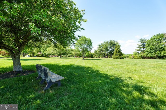 view of grassy yard