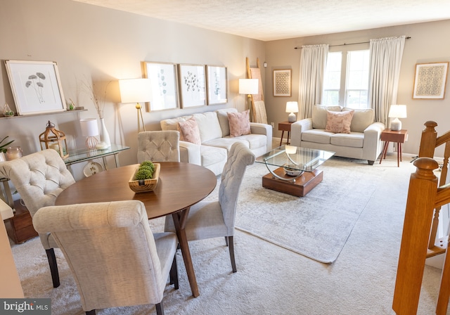 view of carpeted living area