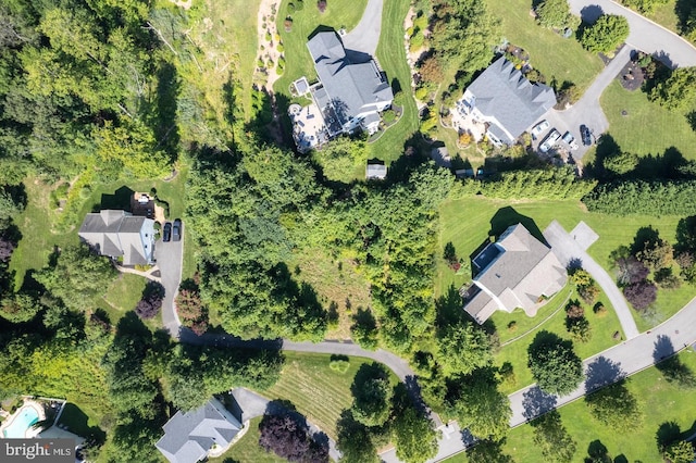 drone / aerial view