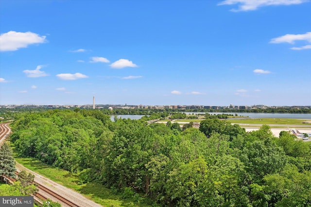 1805 Crystal Dr Unit 1011S, Arlington, VA 22202 - bird's eye view of a large body of water