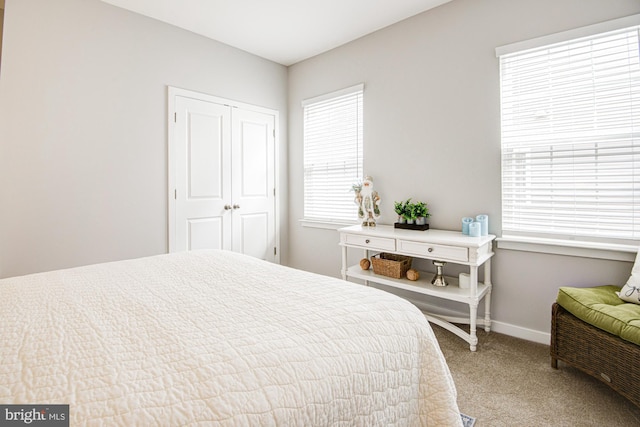 1143 Kayla Ln, Townsend, DE 19734 - bedroom featuring carpet, baseboards, and a closet
