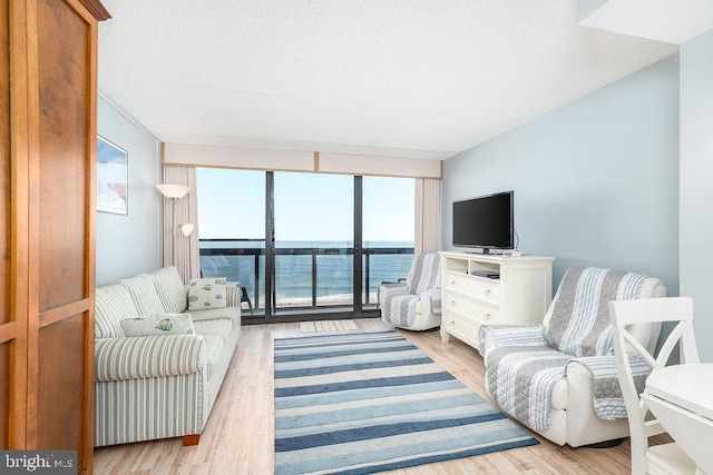 10900 Coastal Hwy Unit 805, Ocean City, MD 21842 - living area with light wood-type flooring and a textured ceiling